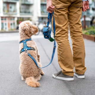 DOG Copenhagen Freestyle Leash, 115cm to 200cm